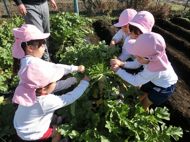 �卪�ƃu���b�R���[