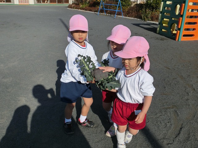 �卪�ƃu���b�R���[