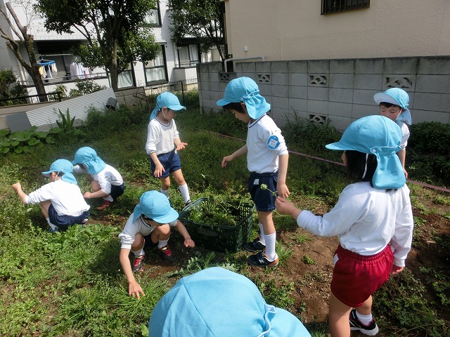 ���ő��ނ���