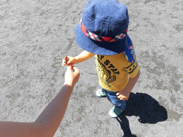 �g�J�Q�݂���