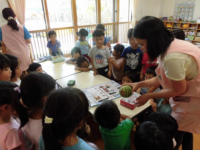 �X�C�J�̎��n