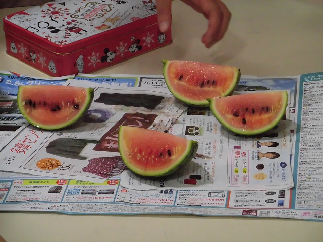 �X�C�J�̎��n