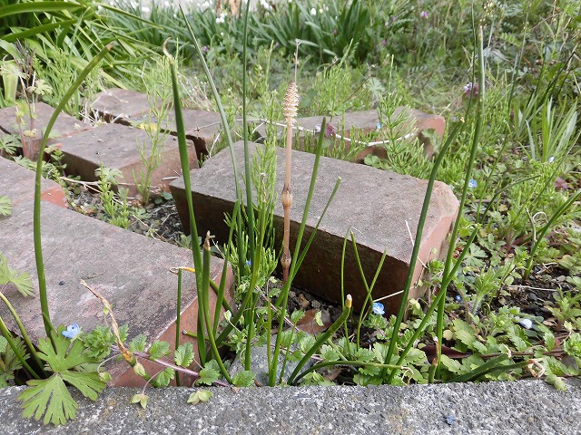 ���炵�ۈ�