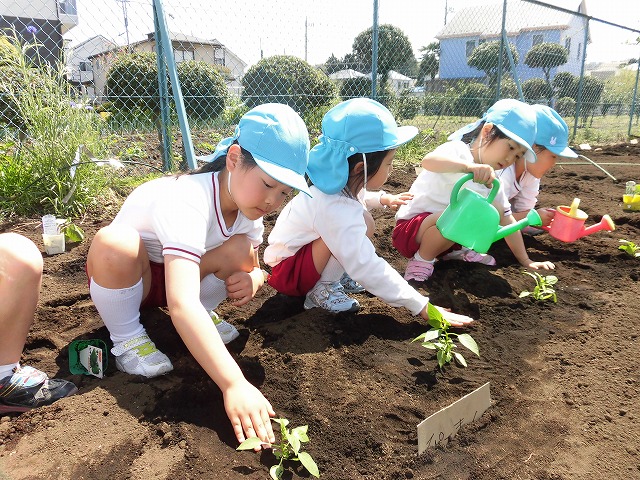 �c�A���A��܂�