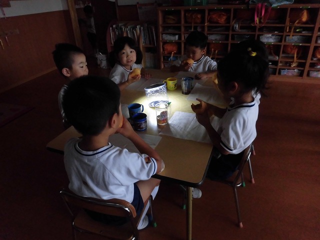 ���������P��