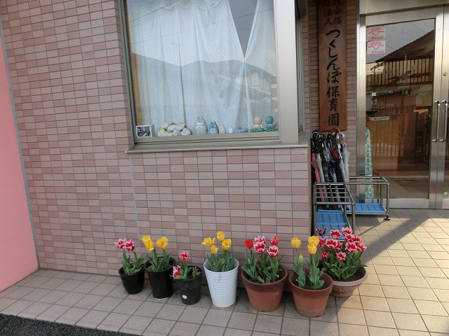 入園おめでとう