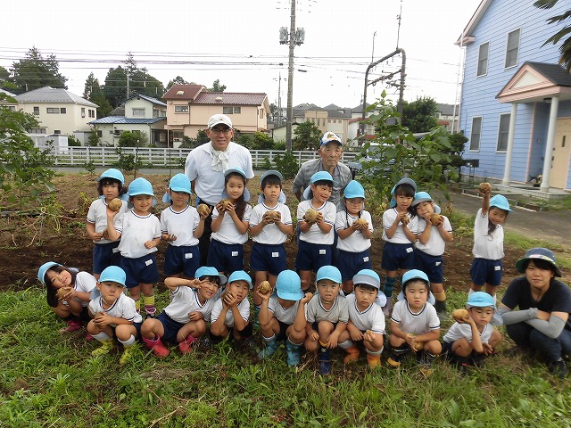 ジャガイモ掘り